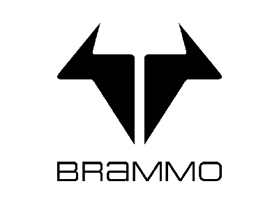 Brammo Electric Motorcycle